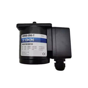 DKM Electric Motor 8IDGG-25G-T, Refrigeration parts