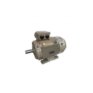 GE Electric Motor WE3-315L2-4, Refrigeration parts