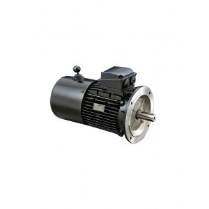 LAFERT Electric Motor AMF100LA4B5, Refrigeration parts