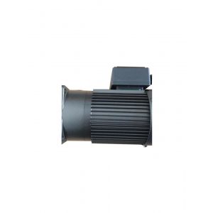 Sesame Electric Motor G11V200S-100, Refrigeration parts