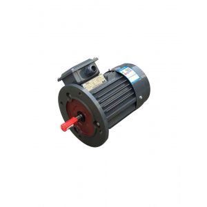TECO Electric Motor AEEVX3-250KW-2P-B3, Refrigeration parts