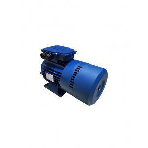 Temporiti Electric Motor REBM90SA4, Refrigeration parts