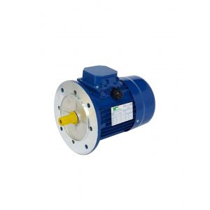 Temporiti Electric Motor TPL80B4B5, Refrigeration parts