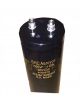 BHC Capacitor ALS30A102ME600