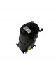 Bristol Compressor H23A543DBF