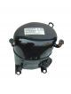 Bristol Compressor H23B263ABKA