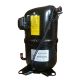 Bristol Compressor H82J37MDBVA
