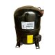 Bristol Compressor H84B223ABCA