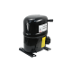 Bristol Compressor H22J333DBVA