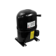 Bristol Compressor H25B28QABHB