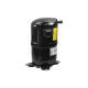 Bristol Compressor H82J37MDBLA