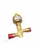 carrier Expansion Valve RB039 00PPG000479300