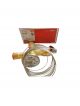 Danfoss Expansion Valve 067N3165