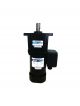 DKM Electric Motor 9IDGK-200FH-T