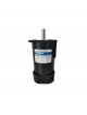 DKM Electric Motor 9IDGK-200FWH