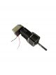 Faulhaber Electric Motor 2342L012CR