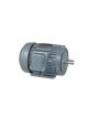 FUKUTA Electric Motor AEEF-250M-6-55KW-75HP