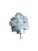 GAST Electric Motor 4AM-NRV-22A