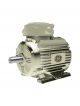 GE Electric Motor WE3-200L-4