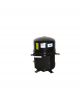 Bristol Compressor H29B20UABC