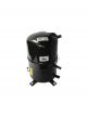 Bristol Compressor H70R813DBE