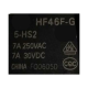 HONGFA Relay HF46F-G-5-HS2