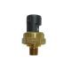 Ingersoll Rand Sensor 39877618
