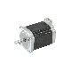 Shinano Kenshi Electric Motor Y07-59D1-17151-LS