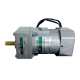 Liming Electric Motor 5IK75RGNG-CF