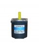 Maili Electric Motor 4IK25A-Y