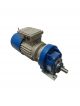 MOTOVARIO Electric Motor TBS8084