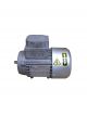 MOTOVARIO Electric Motor TS63A4