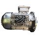NERI Electric Motor T90L4