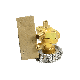 Saginomiya Expansion Valve ATX-34035DPS