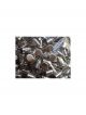 Sanyo Capacitor 16V 270UF S-CON
