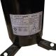 Sanyo Compressor C-SBN301H5A