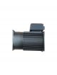 Sesame Electric Motor G11V200S-100