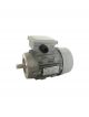 SITI Electric Motor FC56B40.55KW