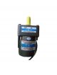 T.W.T Electric Motor 4TK10GN-A
