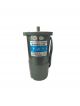 T.W.T Electric Motor 5RK90RGU-CM