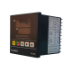 Taisee Temperature Controller TE96-01010000