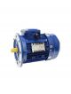 TCG Electric Motor TC-90L-6