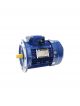 TCG Electric Motor TC7144