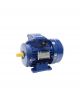TCG Electric Motor TC90L-2