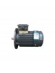 TECO Electric Motor AEEVX3-280KW-2P-B3