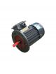 TECO Electric Motor AEEVX3-75KW-2P-B3