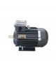 TECO Electric Motor TEGH225M-2-45KW