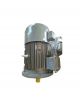 TECO Electric Motor TVGH63M1-4
