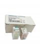 Telemecanique Relay RXL2A12B2P7