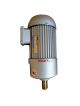 TPG Electric Motor GH-28-750-5S
